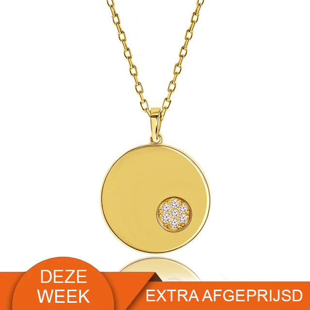 14 karaat gouden ketting met hanger 15.078 (WEEKAANBIEDING)