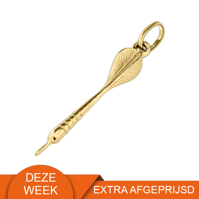 14 karaat gouden dartpijl hanger 14.101.033 WEEKAANBIEDING