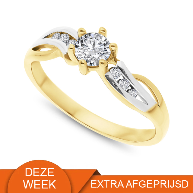 9 karaat bicolor ring met zirkonia 11.577 WEEKAANBIEDING